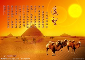 沙漠骆驼