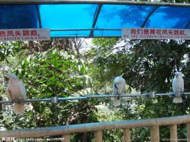 动物园的