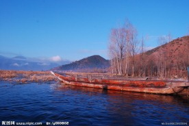 泸枯湖风景