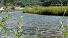 河水流淌