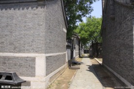胡同