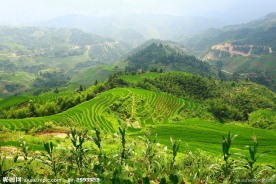 龙脊梯田