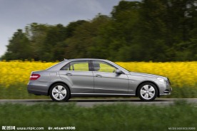 油菜花中的奔驰轿车