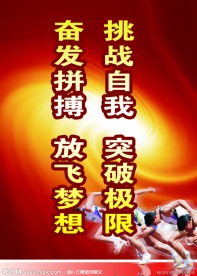 体育展板