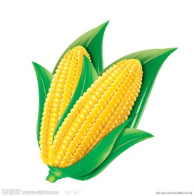 玉米