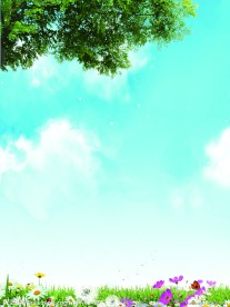 自然风景 花朵树叶