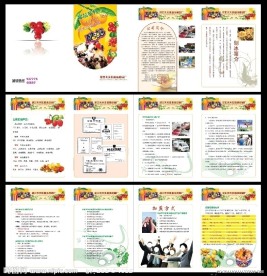 食品画册