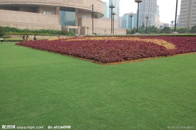 上海市中心街头照片