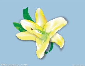 矢量百合花