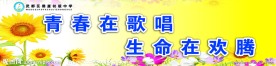 体育展板