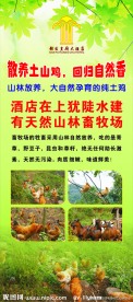 畜牧场海报