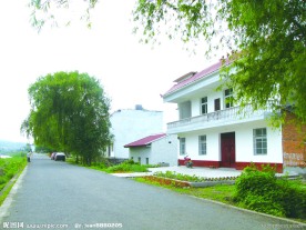 新农村 图片