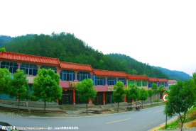 新农村