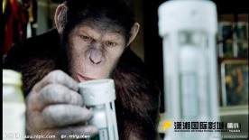 猩球崛起 剧照