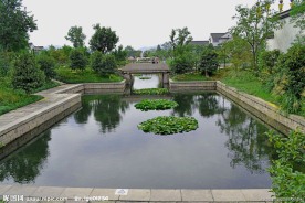 杭州西溪湿地