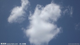 子母同乐