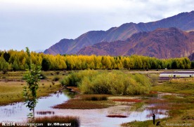 湿地公园