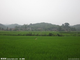 美丽田园