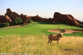 高尔夫球场