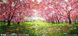 樱花油画装饰画