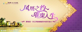 凤凰之约 璀璨人生