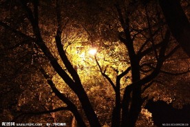 秋夜