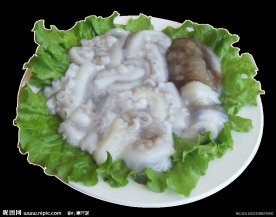 大八带 大章鱼 章鱼