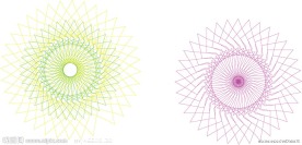 花花 背景 数码