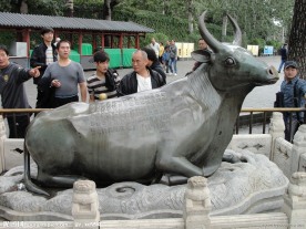 颐和园铜牛