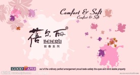 蓓尔丽手帕纸包装设计