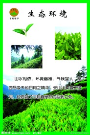 茶展板