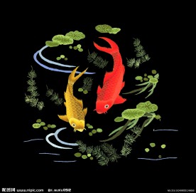 荷花鱼 黑底版