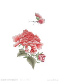 蝶恋花 红色 白底版