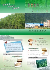 门业宣传册设计