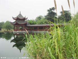 桔子洲风光