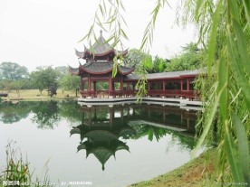 桔子洲风光