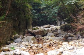 干涸的河床