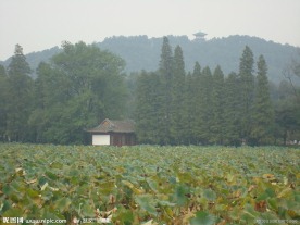 武汉东湖风景