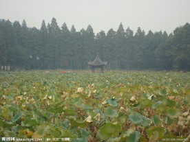 武汉东湖风景