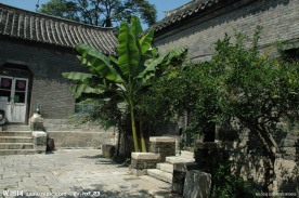 郑家大院