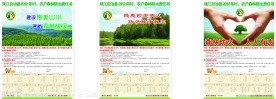 2012年龙年日历