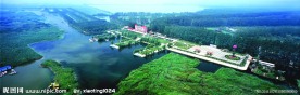 红荷湿地