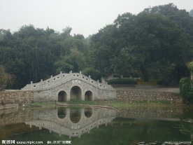 美丽的公园