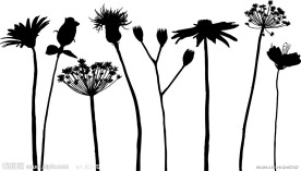 花朵花卉剪影矢量素材
