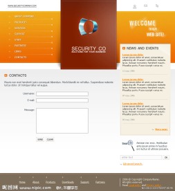 经典欧美网站模版