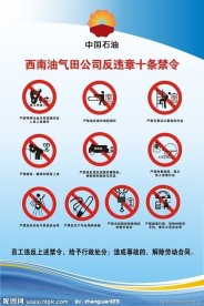 中国石油十条禁令