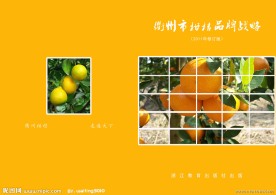 经典画册封面设计