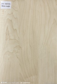 地板 木纹 实木