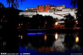 布达拉宫夜景