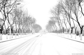 北京冬天的雪景